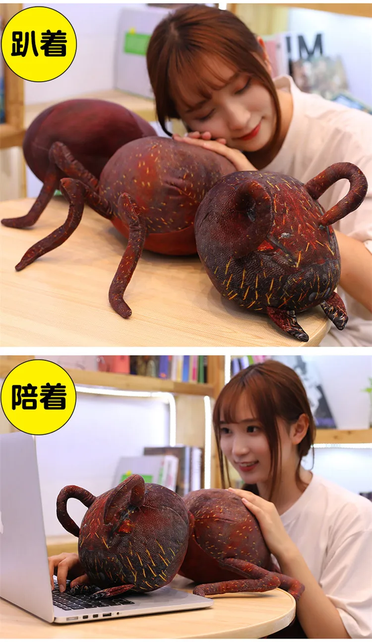 11676621362_186052442_副本