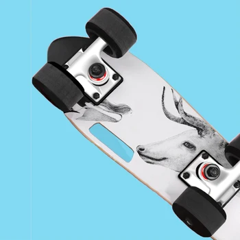 

Adult skateboard, four wheel, Single Rocker skateboard, portable skateboard