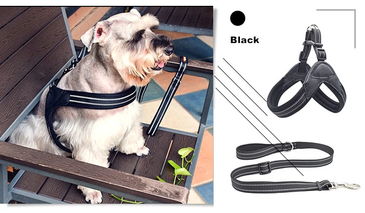 12021666377_1026663116