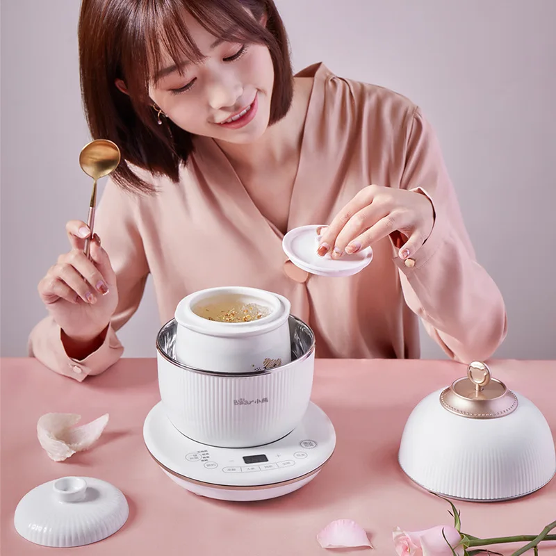 220V 350w Mini Electric stew Slow cooker 0.6L ceramic Bird's Nest Stew cup 1L 304 stainless steel pot Timing Reservation