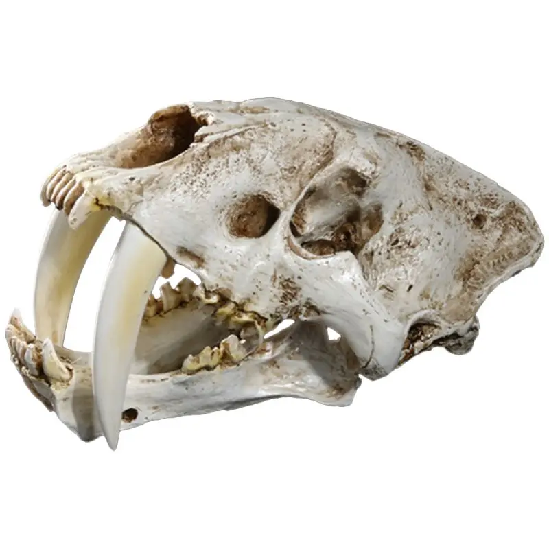 

1:1 Saber-Toothed Tiger Resin Replica Skull Head Model Home Bar Decor Halloween Decoration Gifts