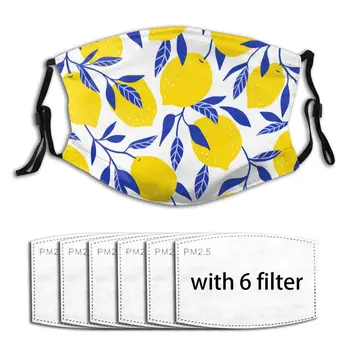 

Lemons Men And Women Adult Outdoor Washable Dust Breathable Masker Filter Reusable