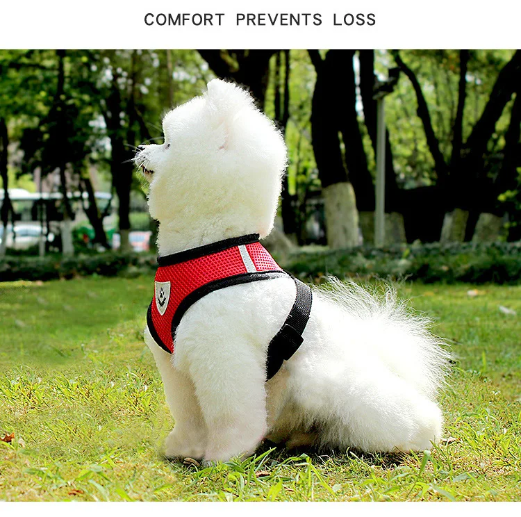 14372023963_609020808