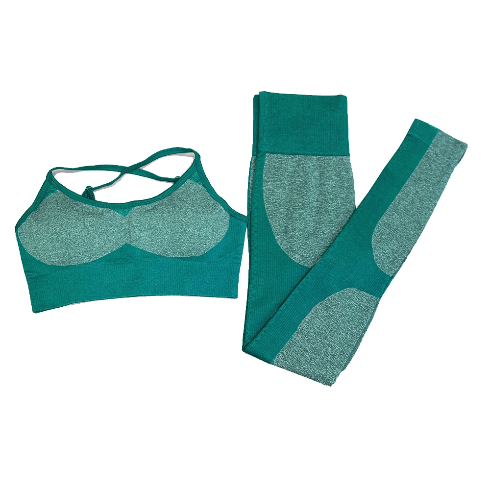 2 Piece Women Yoga Set Gym Fitness Clothes 11 Colors Gradient Crop Top Leggings Femme Seamless Running Sportswear