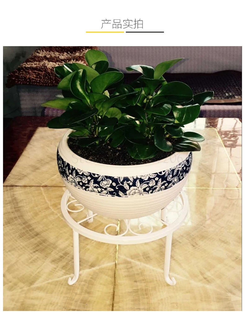 Single Potted A Living Room Black White Ground Balcony Simplicity Flower Rack Flowerpot Shelves