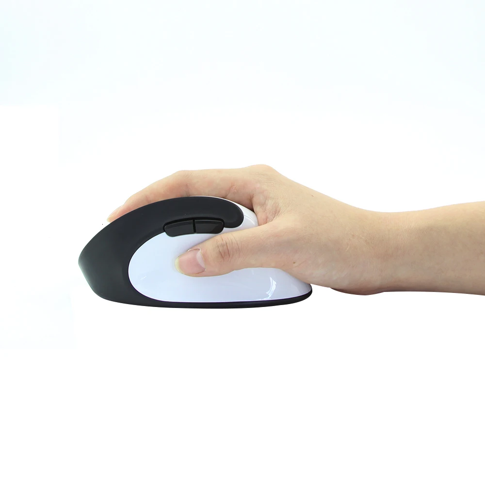 computer mouse