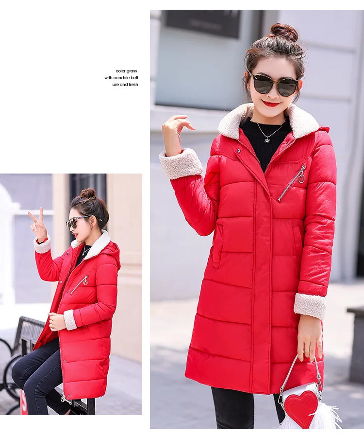 9098026094_1006637240