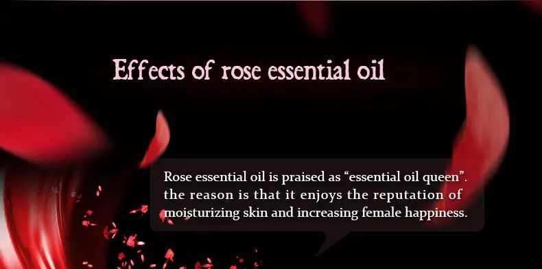 rose_06