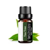Tea Tree Essential Oil Steamer Wholesale Aromatherapy 100% Pure Natural Skin Care Therapeutic Grade Steam Sauna SPA Dedicated 2