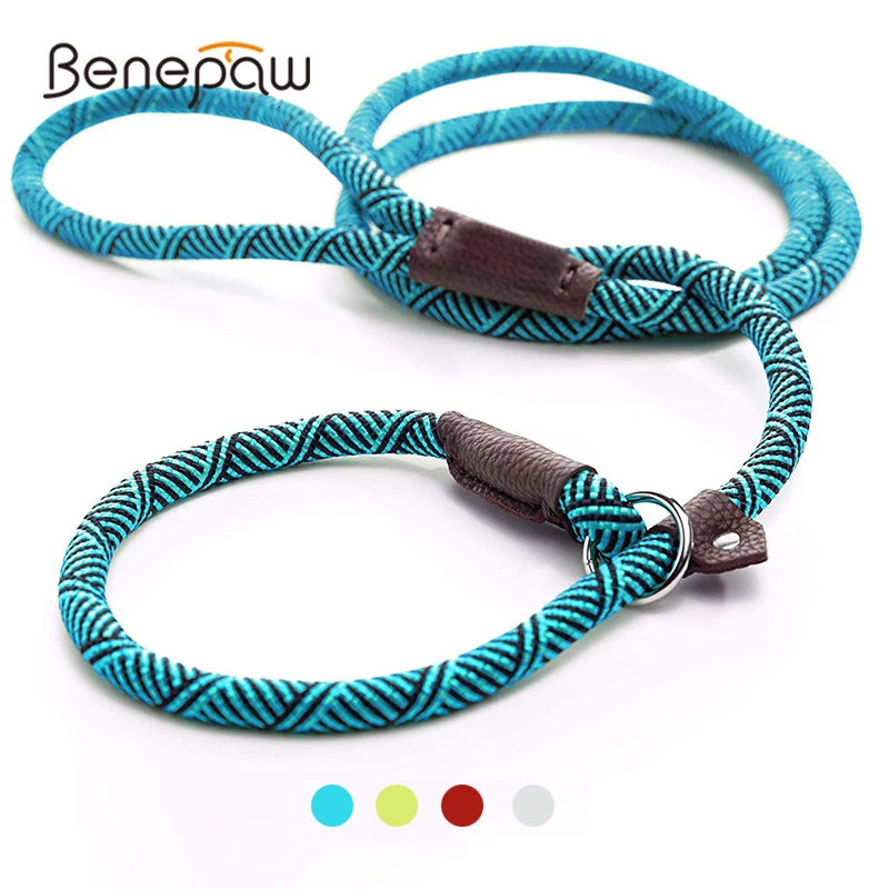 Benepaw Durable Slip Rope Dog Leash Collar 2 In 1 Adjustable Loop Collar Comfortable Small Meidum Large Pet Harness Leash petsmart dog collars	