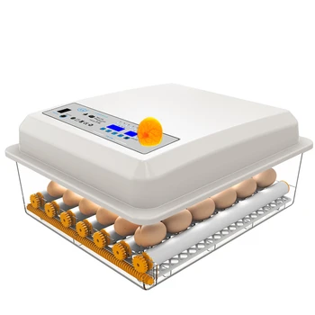 

Incubator Automatic Small Household Chicken Duck Goose Pigeon Peacock Chick