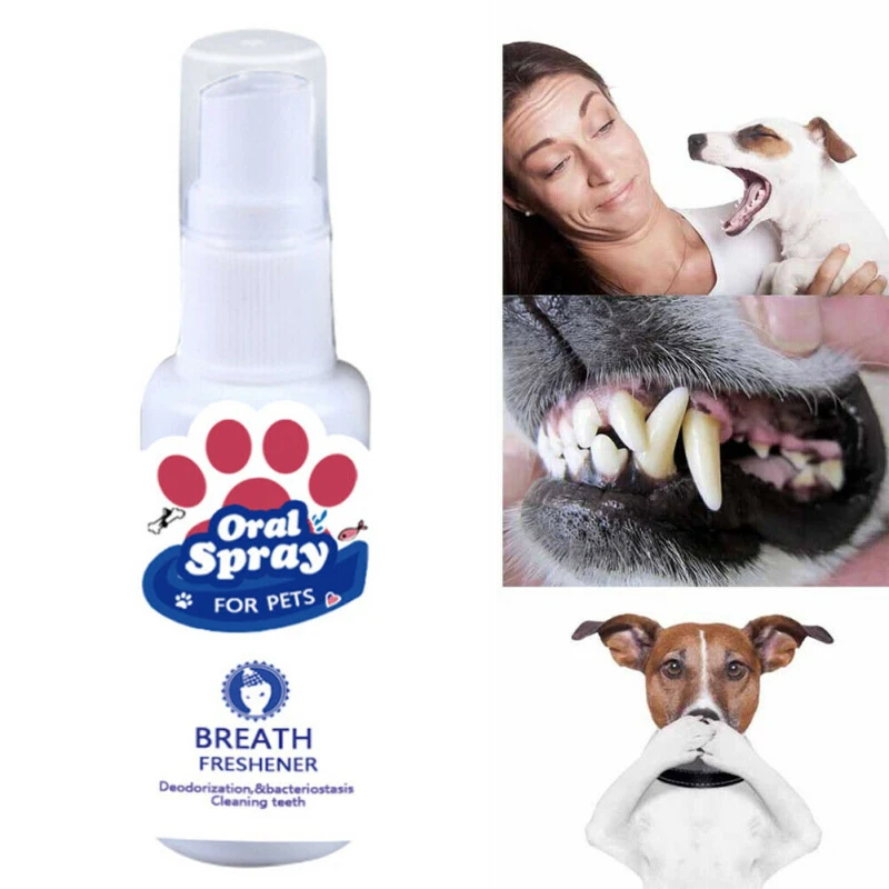 pet cleaner spray