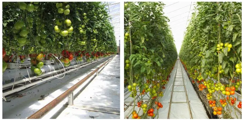 360截图20200729230515377