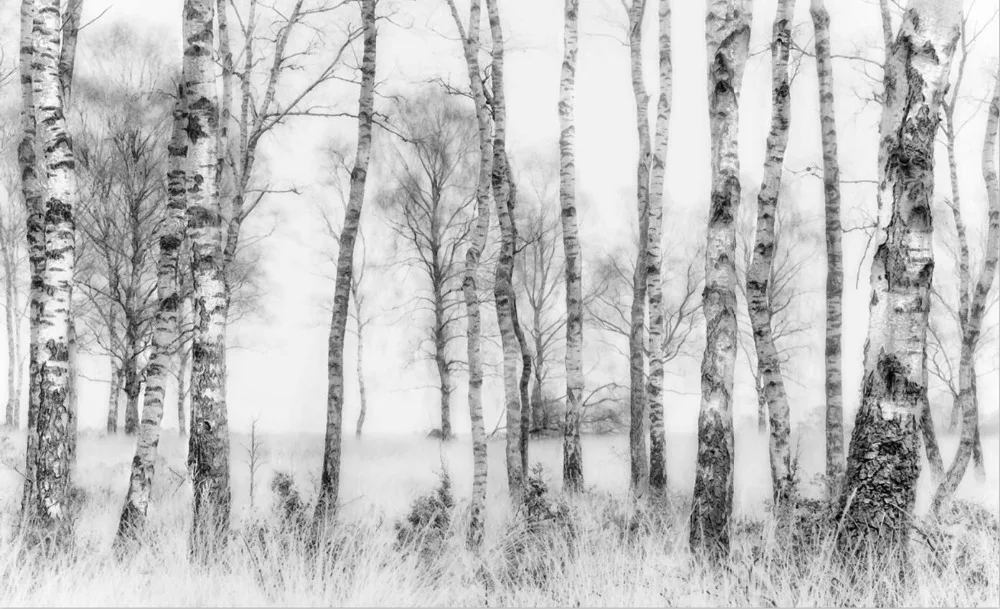 utensílios para pintura e tratamento de parede