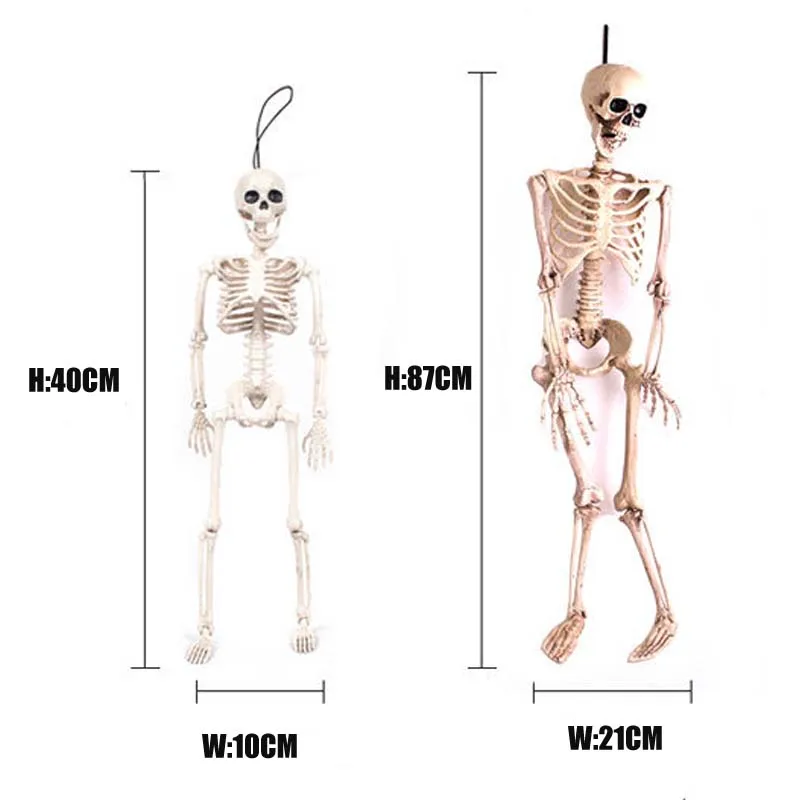  Halloween Prop Realistic Skeleton Full Size Skull Hand Life Body Anatomy Model for Party Decor Medi - 4000207726825