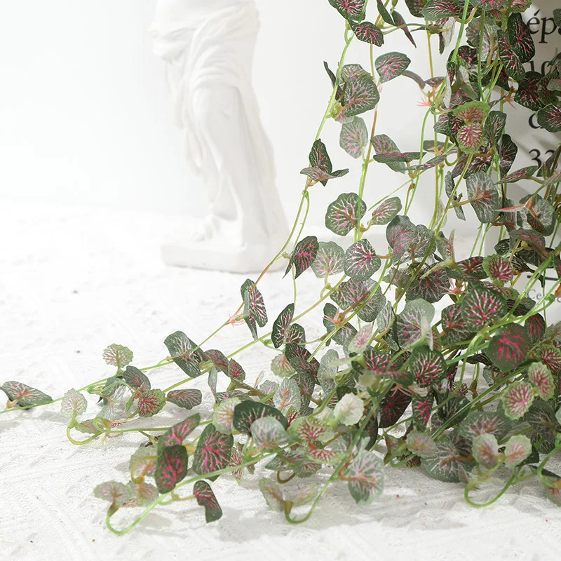 11762971413_1871192039.800x800