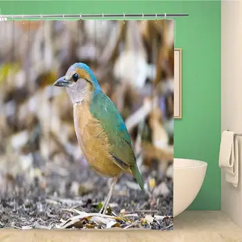 

Bathroom Shower Curtain Portrait Beautiful Bird Angle View Side Shot Adult Male Polyester Fabric 72x72 inches Waterproof Bath