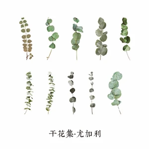 Moking Ретро винтажный тинейт Botany PET дневник стикер Скрапбукинг Украшение этикетка 1 лот = 1 упаковка = 20 шт - Цвет: 8