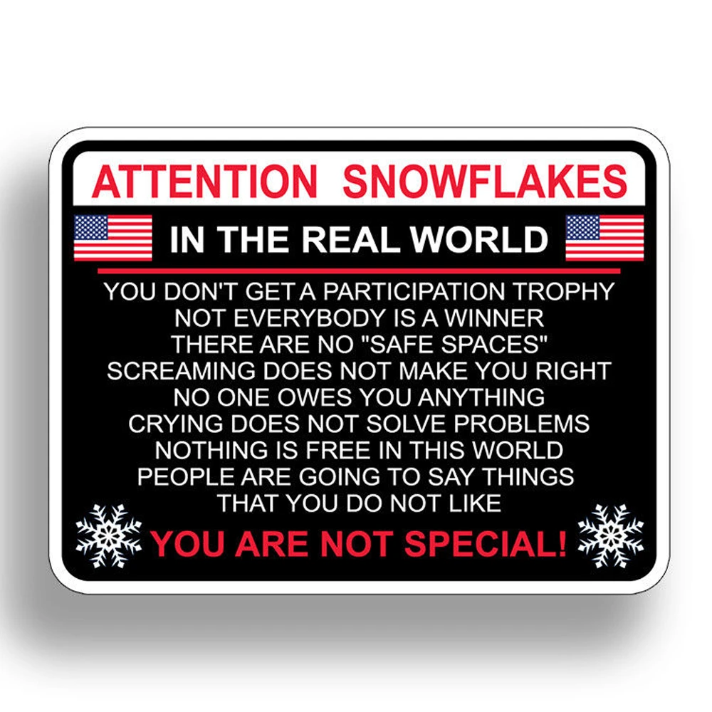 Domi Attention Snowflake Funny Political Trump Car Truck Window Decal Vinyl Sticker High Quality Kk Vinyl Cover Waterproof Pvc Car Stickers Aliexpress Domi Attention Snowflake Funny Political Trump Car Truck Window Decal Vinyl Sticker High Quality Kk Vinyl Cover Waterproof Pvc Car Stickers Aliexpress