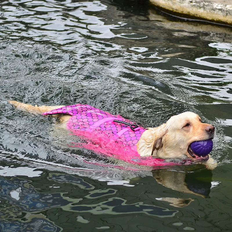 4061997504_1397814943