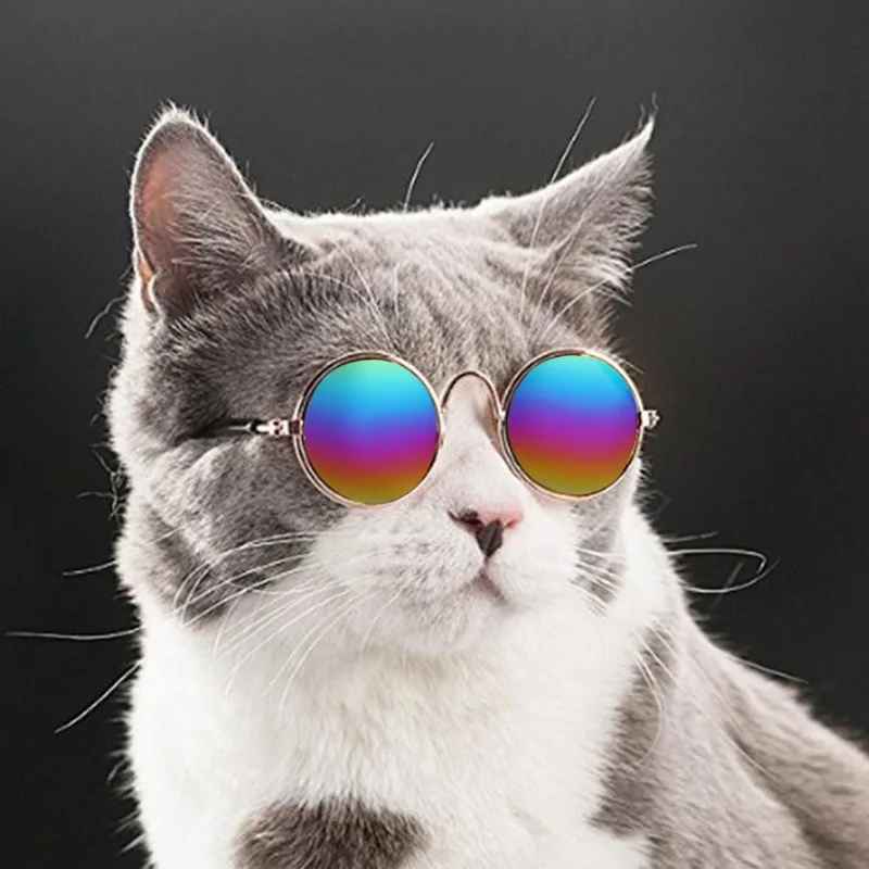 Разноцветные солнечные очки для домашних животных, товары для домашних животных, товары для собак, аксессуары для фотографий, аксессуары для животных принадлежности для кошек