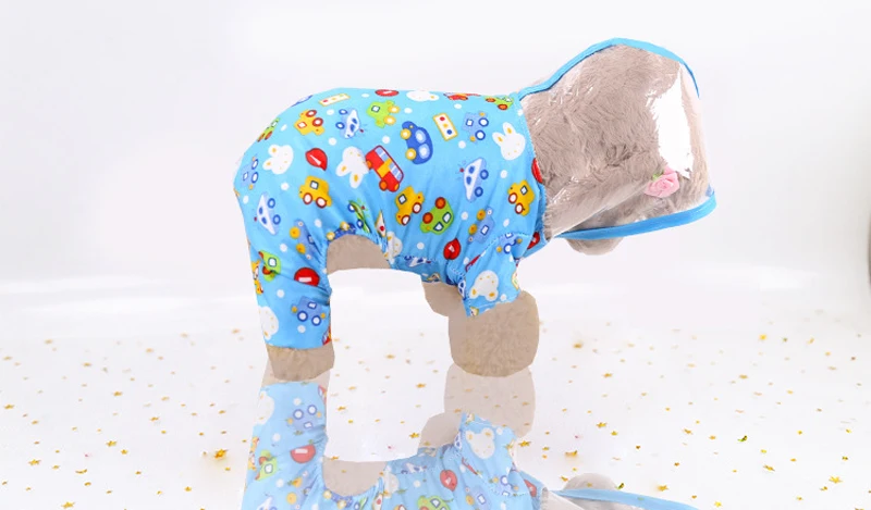 11165631681_799069744