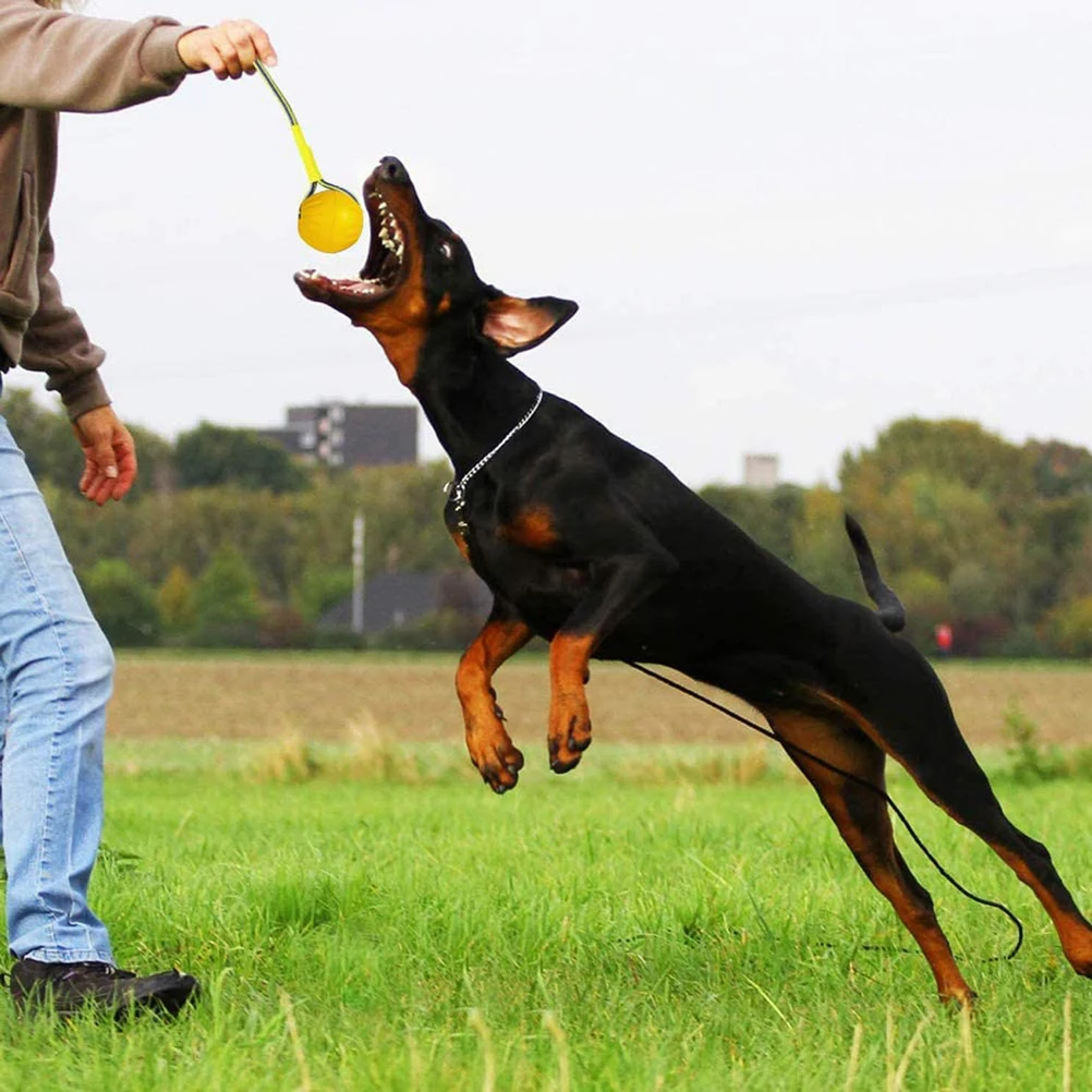 EVA Floating Pet Ball Puppy Bite Resistant Ball with Rope Pet Training