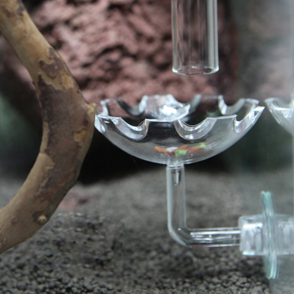Shrimp Feeding Dish Transparent Feeder Container for Shrimp Tropical Fish African Dwarf Frog