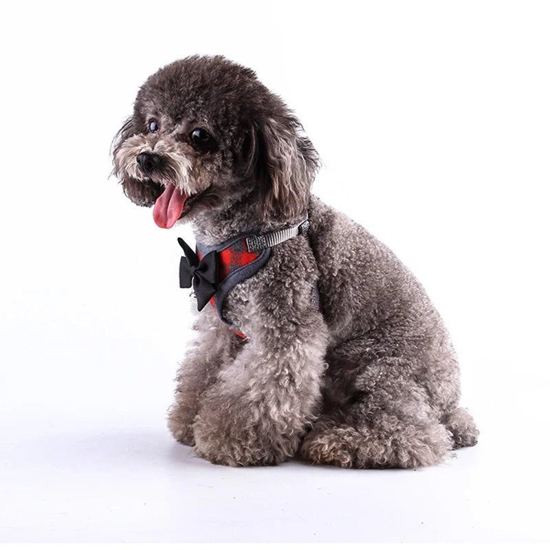 4592044808_1043553121