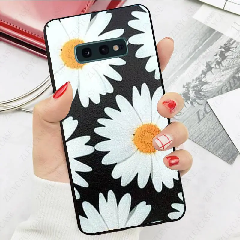 daisy flower