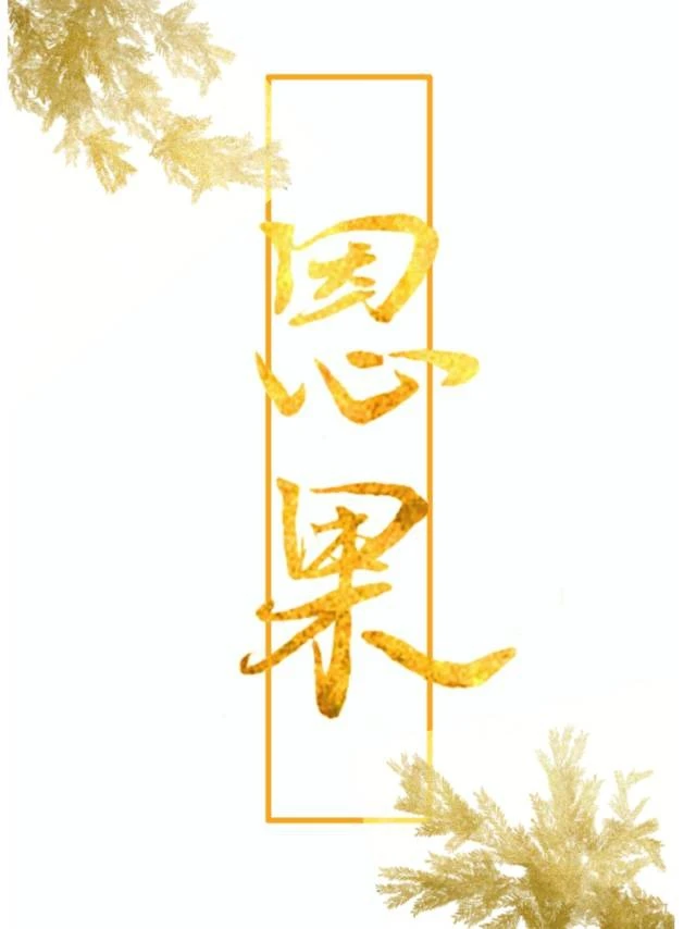 这只毛绒绒对我死心塌地