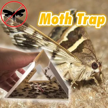 

5 PC Moth Catcher Moth Trap Eliminates Moth Stick Suitable For Indian Meal Moth Mite 5 Pieces non-toxic and tasteless Trap