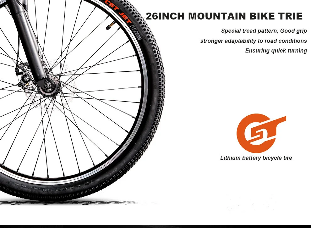 Lightweight Electric Bike 26 Inch Two Wheel Electric Bicycle With Hidden Battery 25KMH Electric Mountain Bike Bicycle (2)