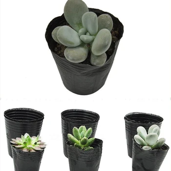 

100pcs Raising Bag Plant Pot Nutrition Seed Holder Home Desktop Aeration Decoration Supplies Vegetation Tools Mini Flower Garden