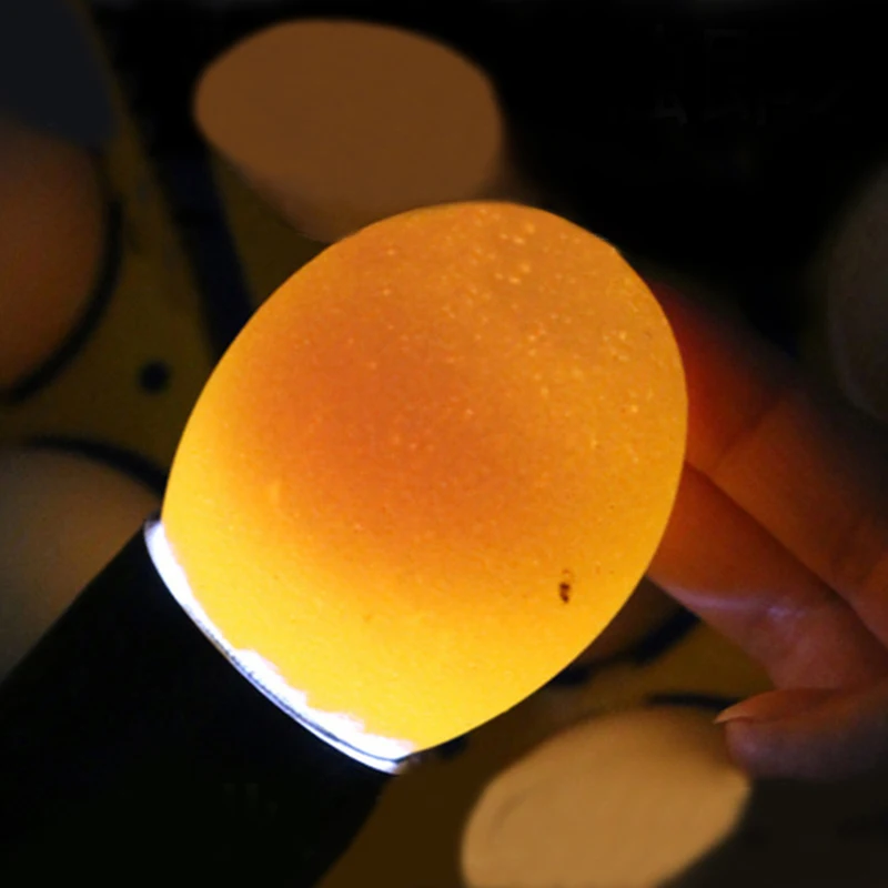 Lámpara LED superfría de 9 LED, probador de huevos, incubadora, herramienta para pollo, envío gratis para todo tipo de huevos, 1 unidad