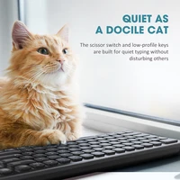 Computer Peripherals