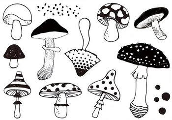 

Mushroom Clear Stamp for Scrapbooking Transparent Silicone Rubber DIY Photo Album Decor 114