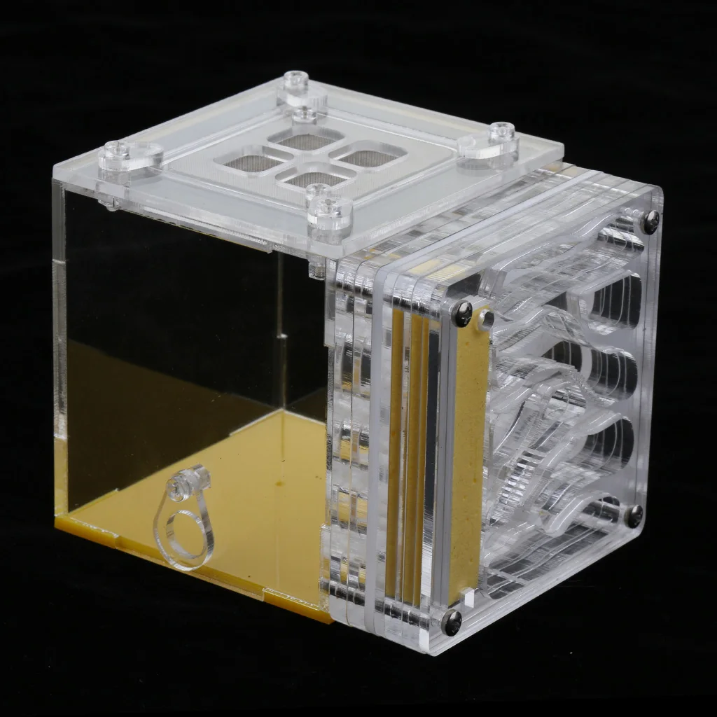 Ant Insect Pet Castle House Farms Feed Transparent Terrarium Display Box Kids Ecological Educational Toys  ( Square )