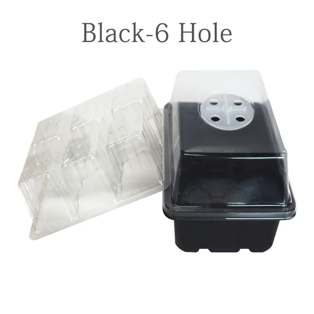 Black-6 holes