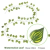 Watermelon Leaf 2.3m