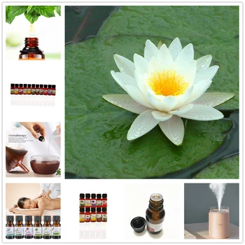 

Pure Essential Oils 10ML Humidifier Aromatherapy Crocus Sativus Tea Tree Strelizia Cymbidium Oil for Fragrance Aromatherapy