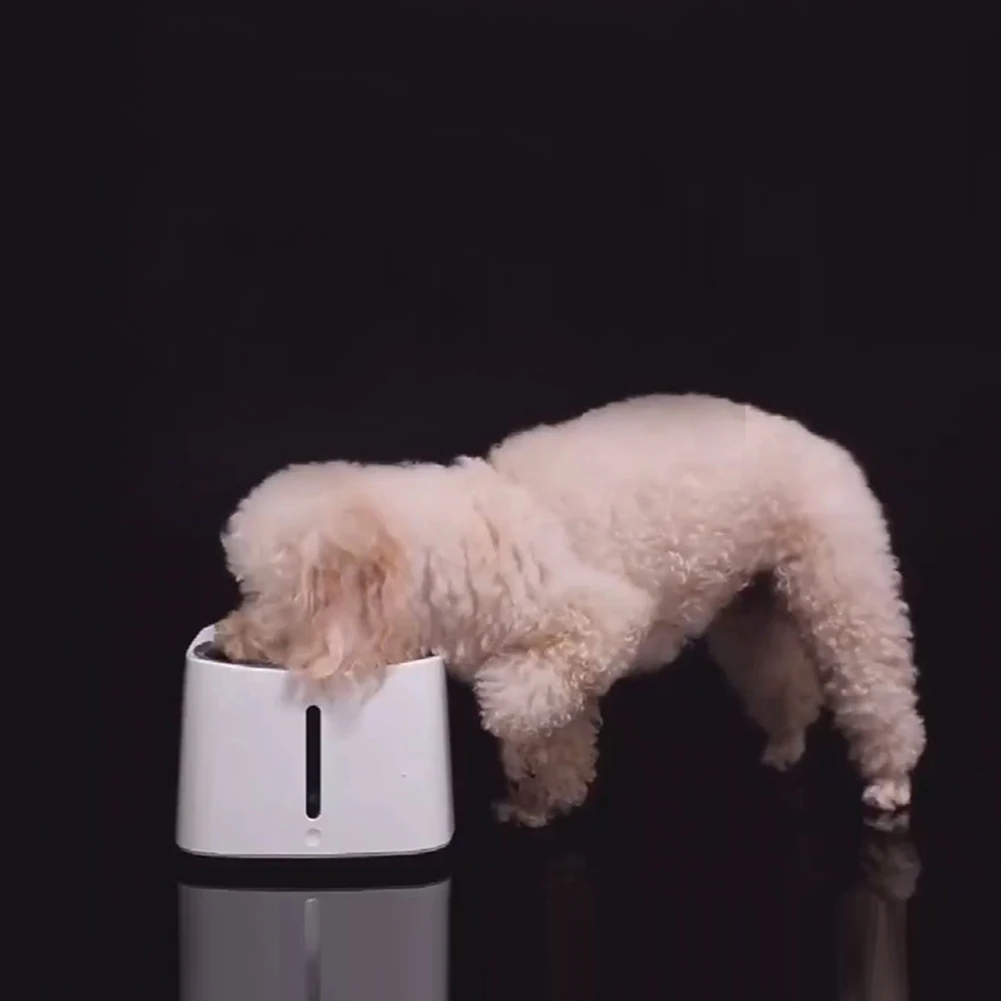 Cat USB Charging Pet Smart White Infrared Induction Quiet Filter Drinking Feeder Large Capacity Easy Clean Water Dispenser