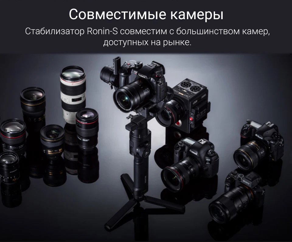 DJI Ronin S