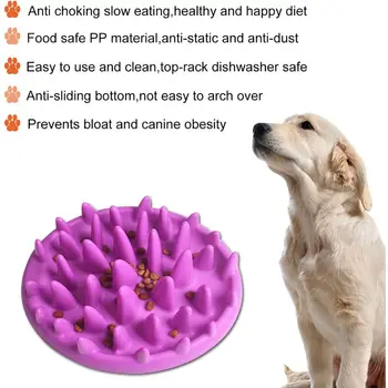 

Cat Catch Interactive Slow Feeding Bowl, Anti-gulping Pet Bowl Insert Feeder, Bloat Gobble Stopper Dog Puppy Feeding