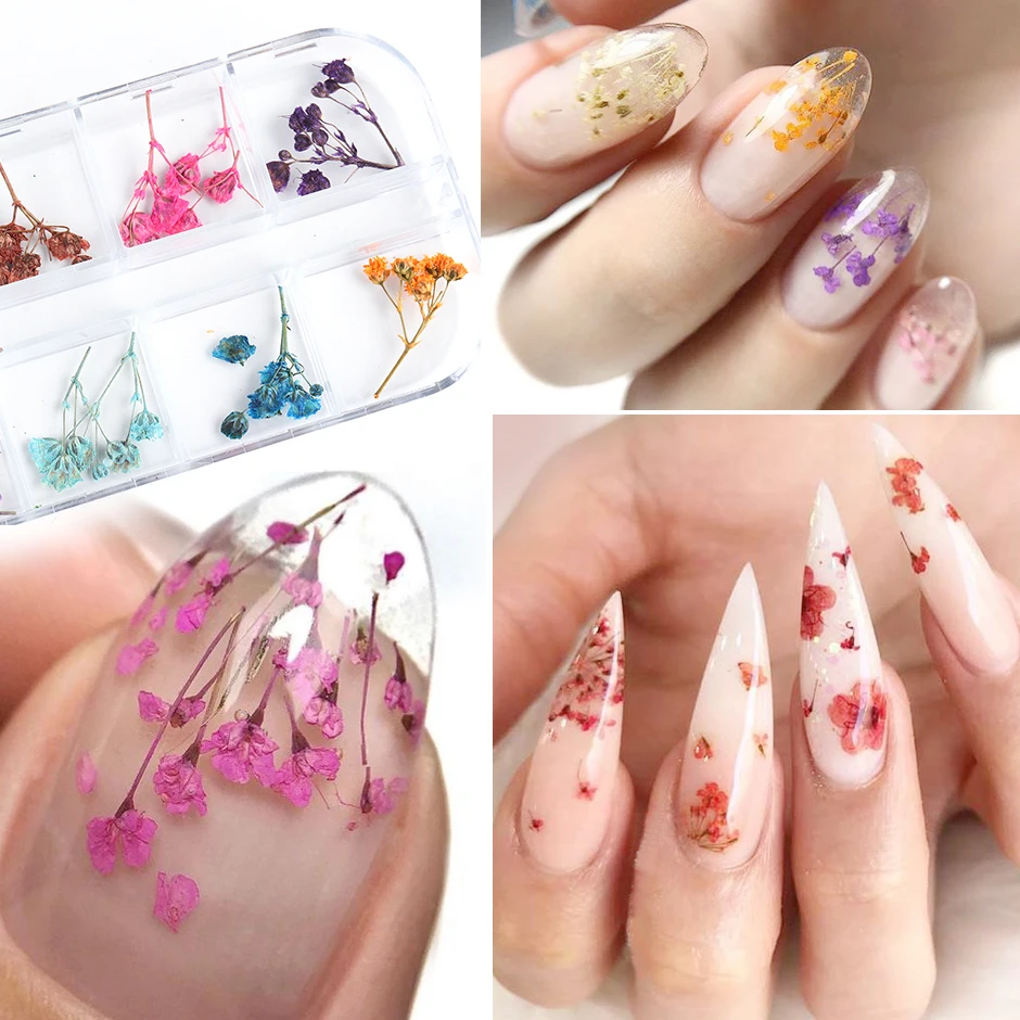 12グリッドナチュラルドライフラワーセットネイルアート装飾の葉花プレストステッカーdiyのデザインマニキュアアクセサリーchf25 41 Rhinestones Decorations Aliexpress