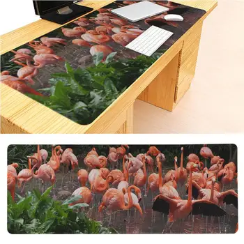 

congsipad Flamingo on the river Large full desk big Mouse pad PC Computer mat Size for 300x800x2mm and 300x900x2mm Mousepad