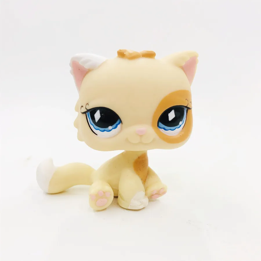 Зеленый Новая игрушечная кошка, игрушка, черный, розовый, милый, с круглым лицом, кот, прекрасный Petshop, фигурки животных, маленькие куклы, игрушки - Цвет: Зеленый