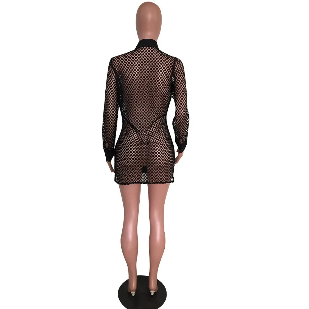 12430393480_1135413410