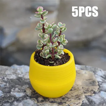 

5pcs Mini Round Succulent Pot Small Flower Plant Planter Home Office Decor