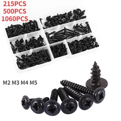 M2 M3 M4 M5 Hex Socket Screw Set Carbon Steel Flat Round Cap Head Screws Bolts and Nuts Assortment Kit with Storage Box Screws